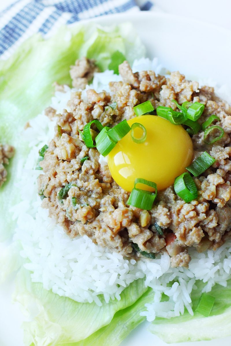 20-Minute Asian Pork and Rice Plate