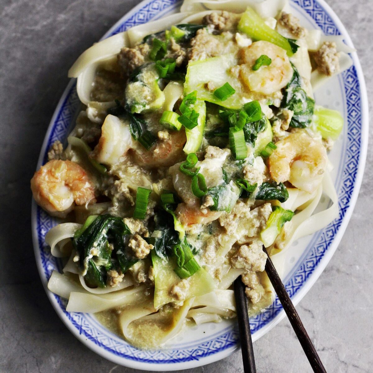 Flat Rice Noodles with Egg Gravy Sauce (Kwetiau Siram) Couple Eats Food