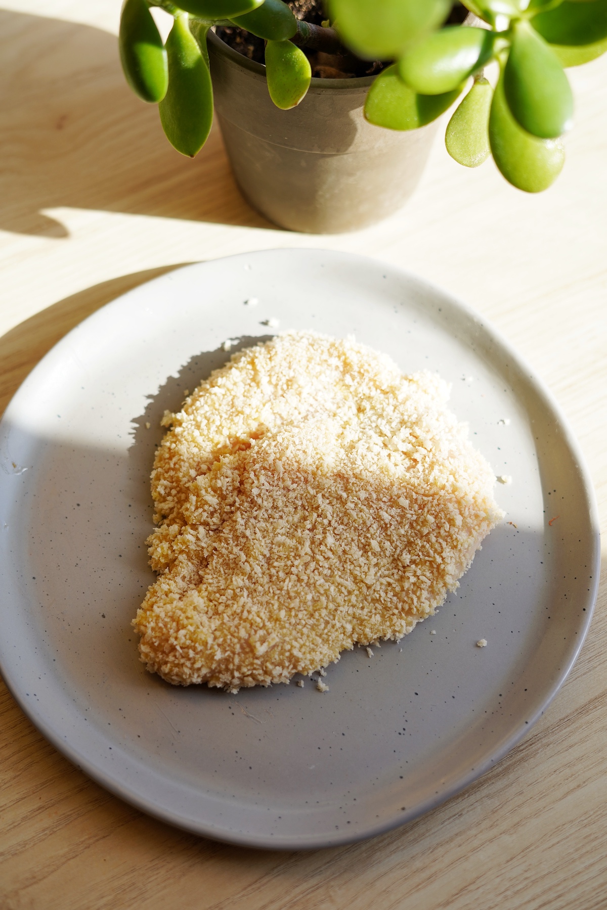 Front view of chicken breast breaded with panko breadcrumbs.